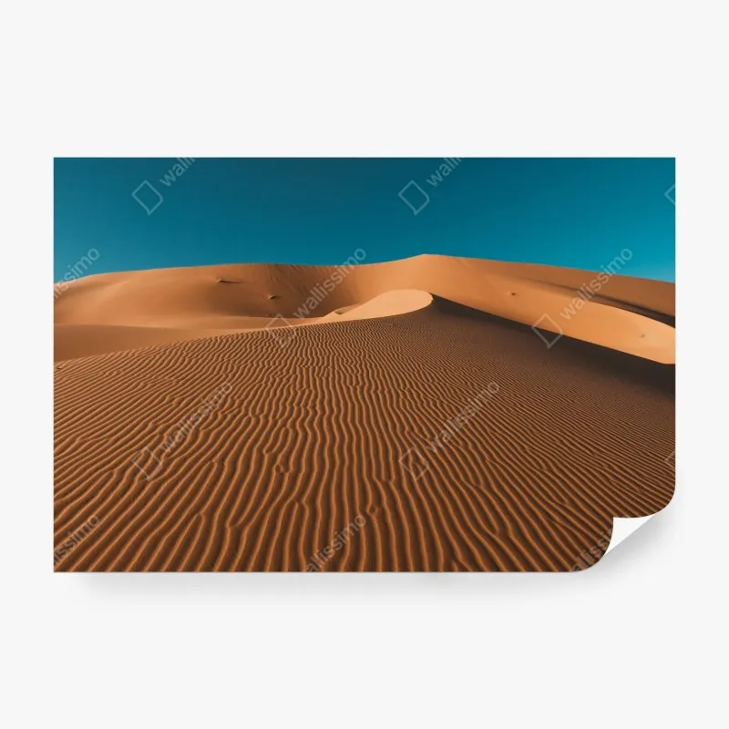 Wall mural golden sand dunes under deep blue sky
