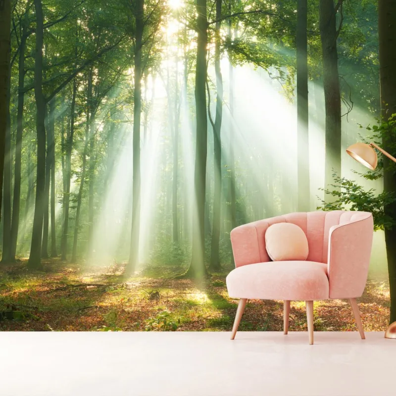 Wall mural morning light in the forest