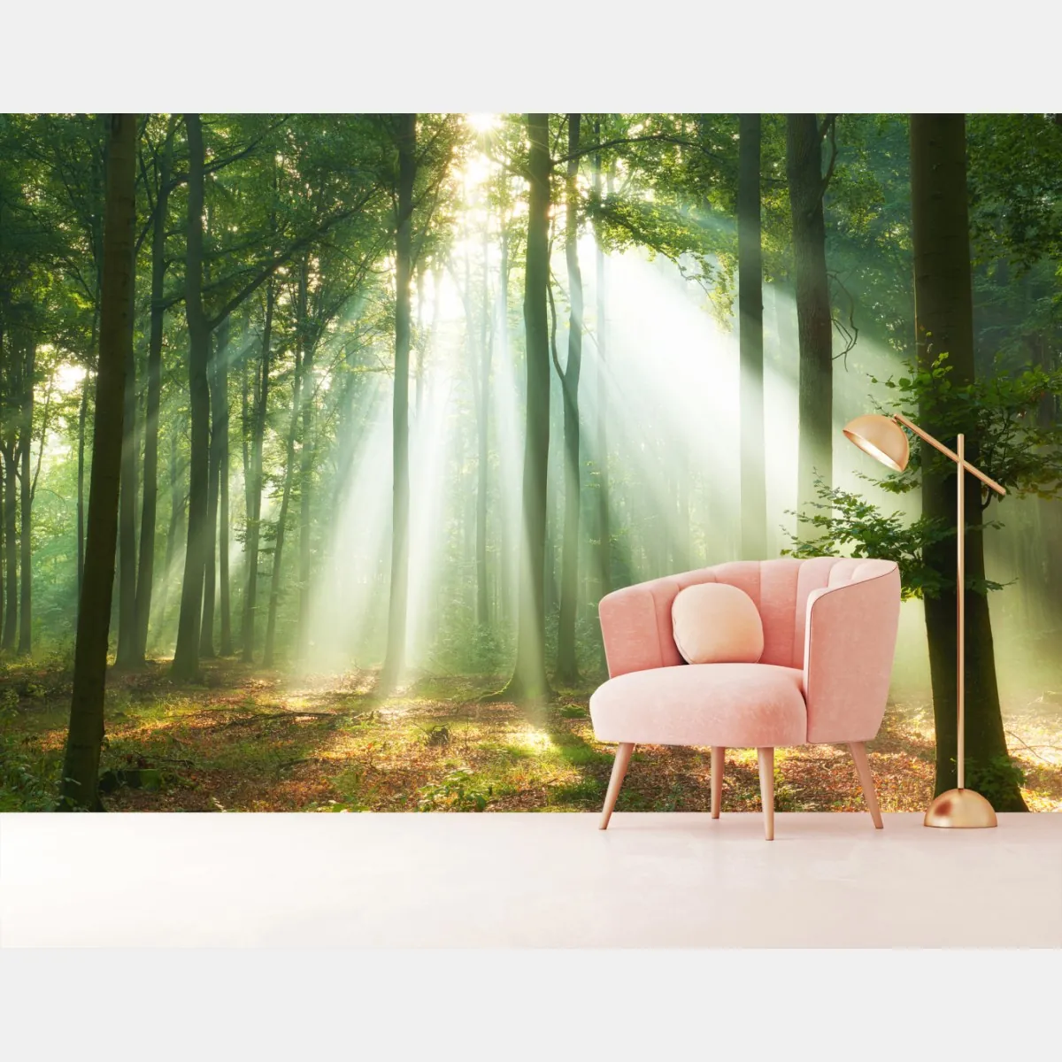 Fototapeta poranne światło w lesie – Wallissimo® Fototapeta poranne światło w lesie – Wallissimo®