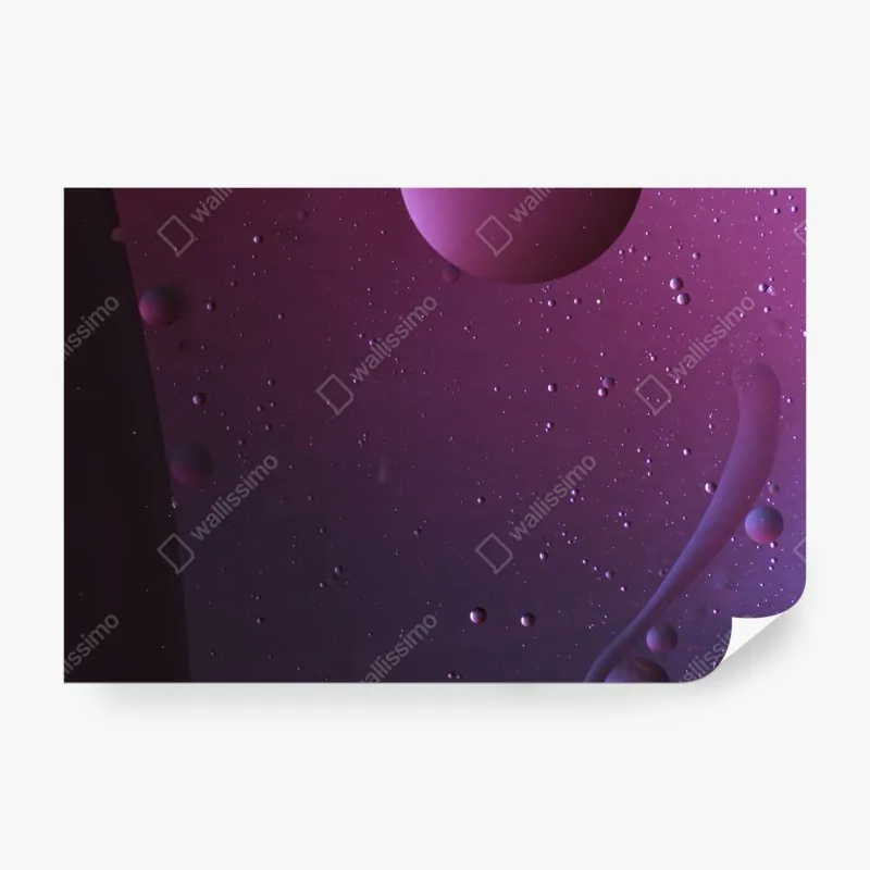 Fototapeta mglisty poranek w lesie – Wallissimo®