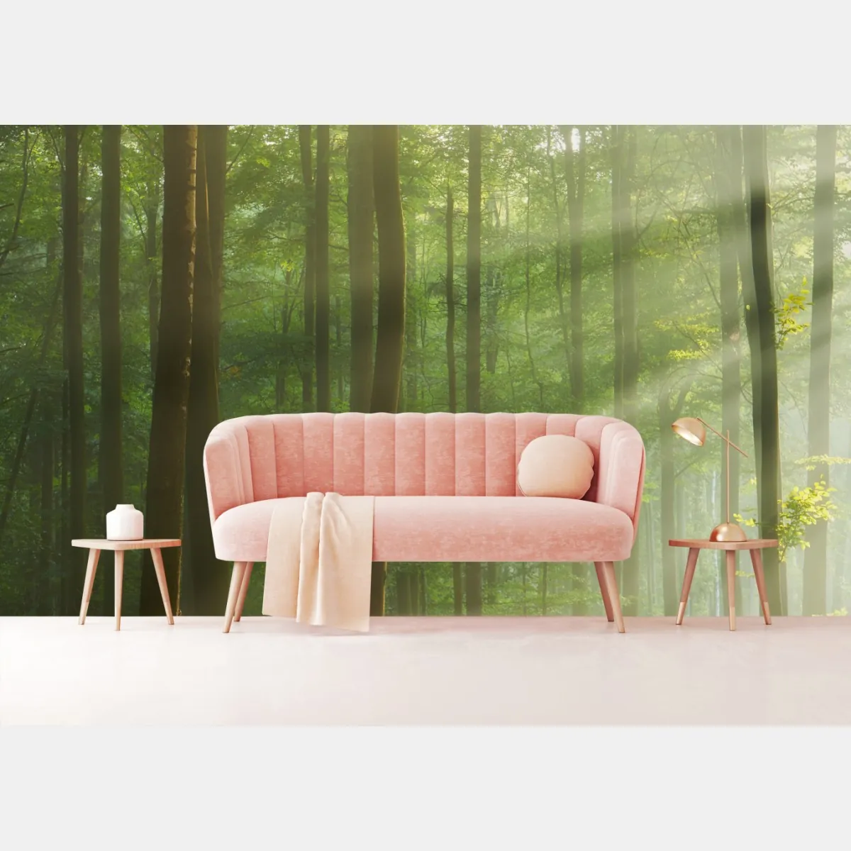 Fototapeta poranne światło w lesie – Wallissimo® Fototapeta poranne światło w lesie – Wallissimo®