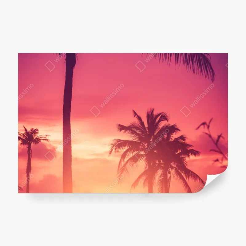 Wall mural tropical sunset palm silhouettes