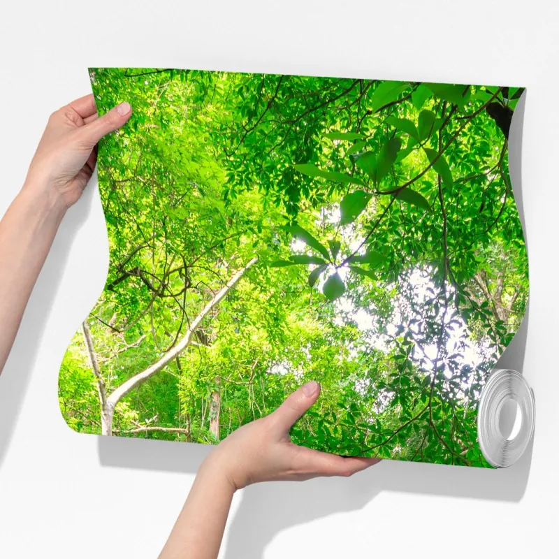 Fototapeta spokojny wodospad w Parku Narodowym Erawan – Wallissimo® Fototapeta spokojny wodospad w Parku Narodowym Erawan – Wallissimo®