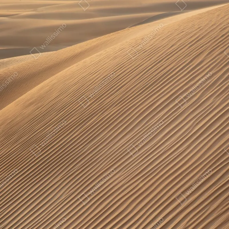 Fototapeta złote wydmy minimalistyczny krajobraz – Wallissimo® Fototapeta złote wydmy minimalistyczny krajobraz – Wallissimo®