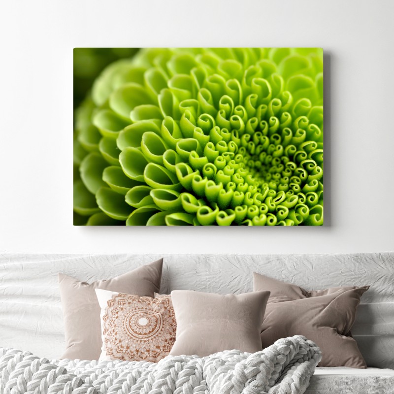 Obraz na płótnie intensywna zielona spirala kwiatowa