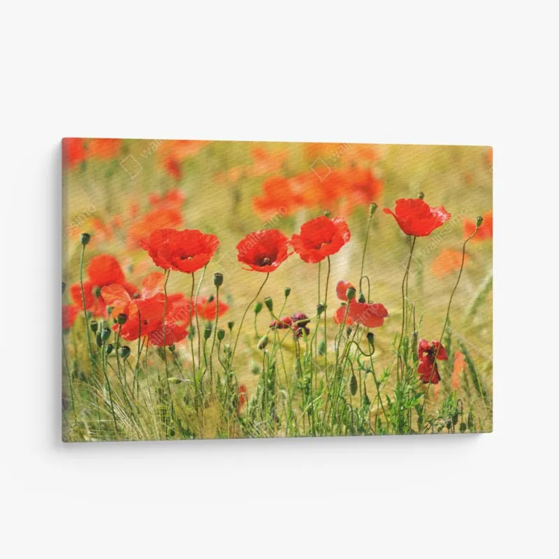 Obraz na płótnie eleganckie czarno-białe klawisze fortepianu – Wallissimo®