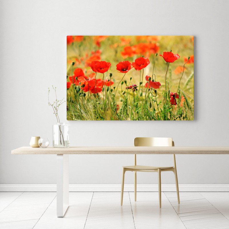 Obraz na płótnie łąka czerwonych maków w słońcu – Wallissimo® Obraz na płótnie łąka czerwonych maków w słońcu – Wallissimo®