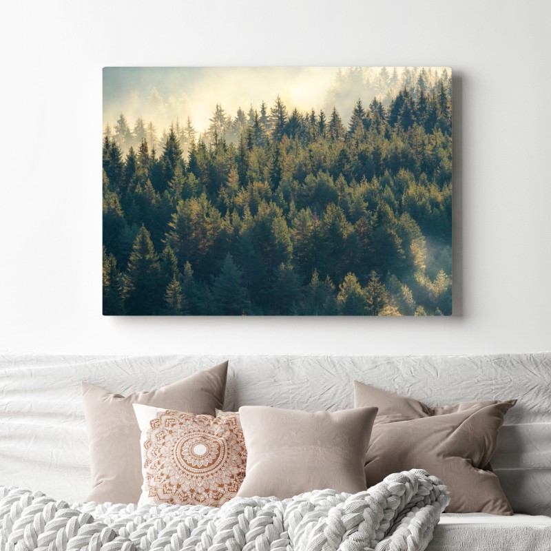 Obraz na płótnie mglisty las sosnowy o świcie – Wallissimo® Obraz na płótnie mglisty las sosnowy o świcie – Wallissimo®