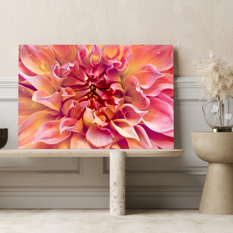 Obraz na płótnie różowa dalia w zbliżeniu – Wallissimo® Obraz na płótnie różowa dalia w zbliżeniu – Wallissimo®