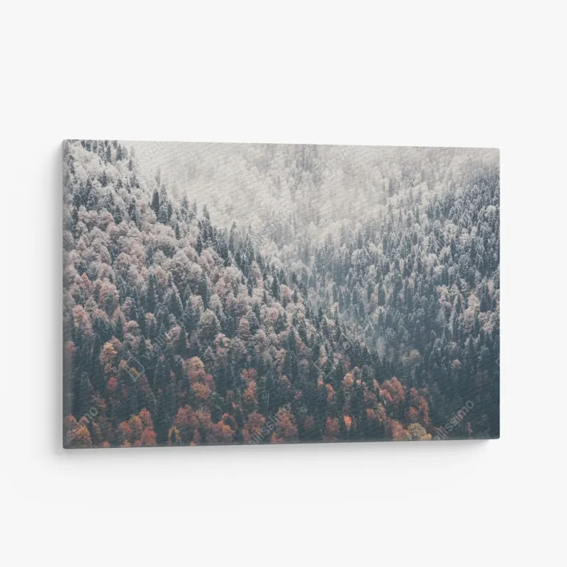 Obraz na płótnie jesienna mgła nad górskim lasem