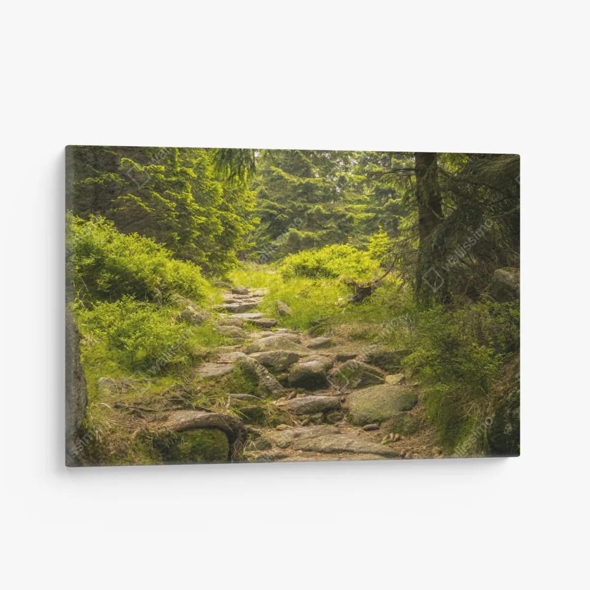 Obraz na płótnie spokojna leśna ścieżka wśród sosen – Wallissimo® Obraz na płótnie spokojna leśna ścieżka wśród sosen – Wallissimo®