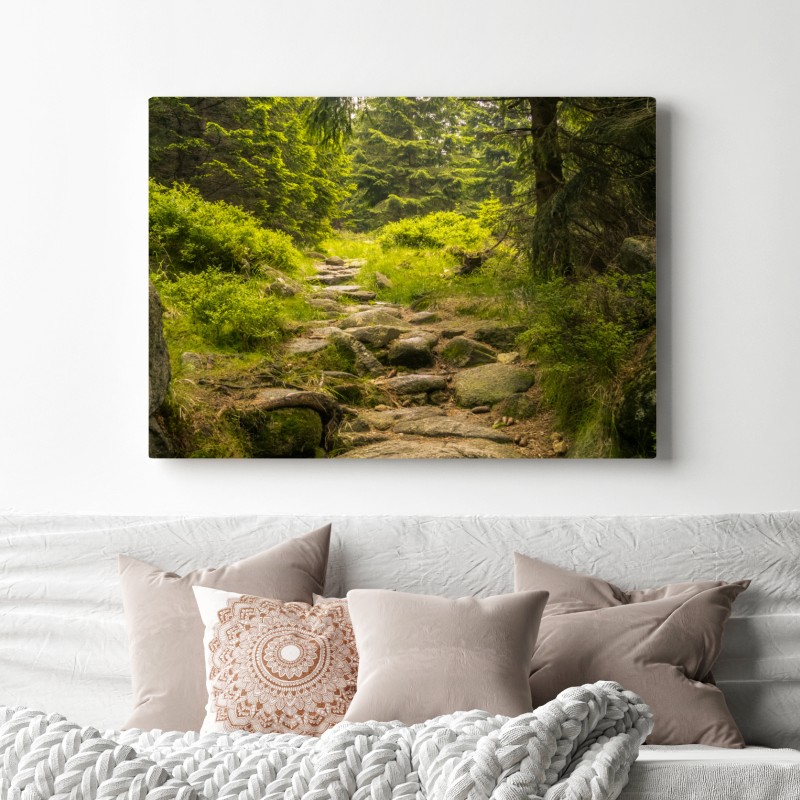 Obraz na płótnie spokojna leśna ścieżka wśród sosen – Wallissimo® Obraz na płótnie spokojna leśna ścieżka wśród sosen – Wallissimo®