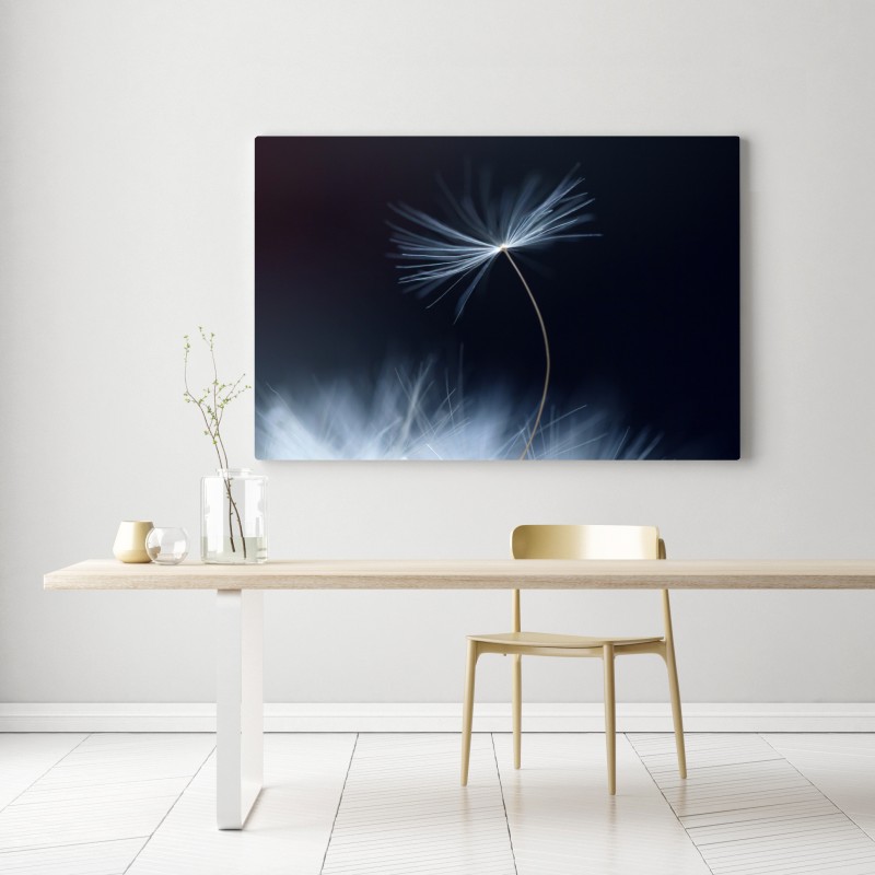 Obraz na płótnie delikatne zbliżenie nasiona dmuchawca – Wallissimo® Obraz na płótnie delikatne zbliżenie nasiona dmuchawca – Wallissimo®