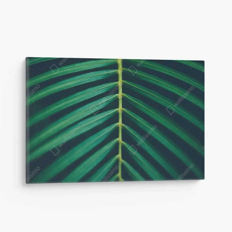 Obraz na płótnie żywe abstrakcyjne oko w stylu pop art – Wallissimo®