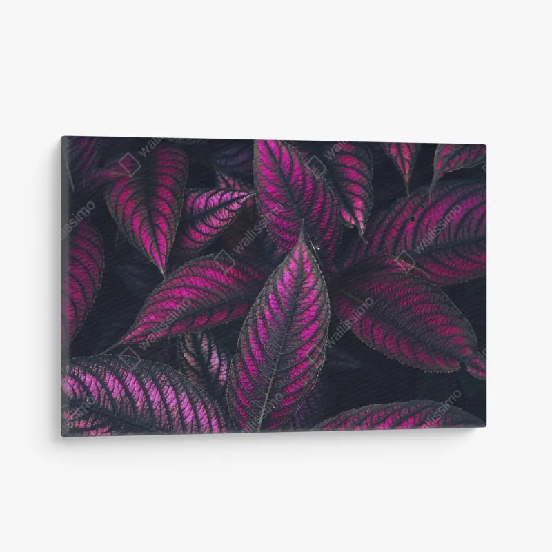 Obraz na płótnie intensywny fioletowy wzór liści