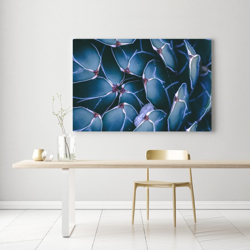 Obraz na płótnie geometryczne zbliżenie sukulenta w turkusie – Wallissimo® Obraz na płótnie geometryczne zbliżenie sukulenta w turkusie – Wallissimo®