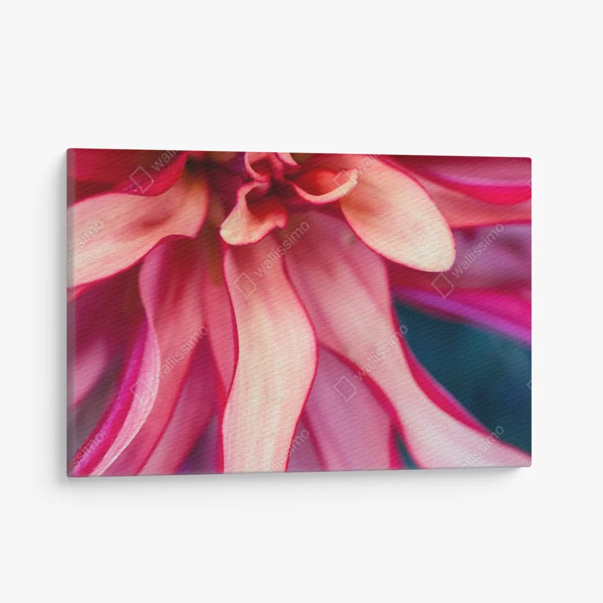 Obraz na płótnie żywe różowe makro kwiatu – Wallissimo® Obraz na płótnie żywe różowe makro kwiatu – Wallissimo®