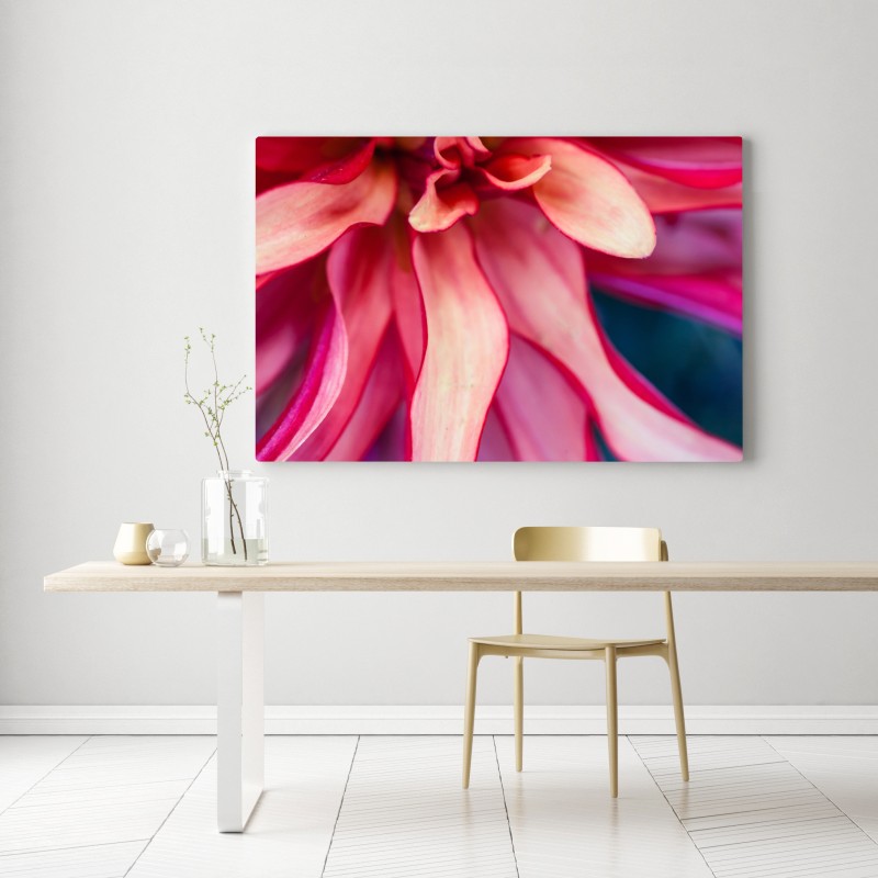 Obraz na płótnie żywe różowe makro kwiatu – Wallissimo® Obraz na płótnie żywe różowe makro kwiatu – Wallissimo®