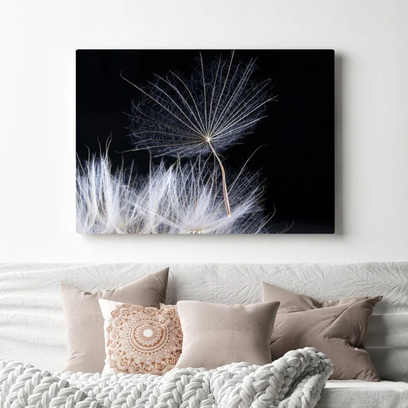 Obraz na płótnie delikatne ziarno mniszka na czarnym tle – Wallissimo® Obraz na płótnie delikatne ziarno mniszka na czarnym tle – Wallissimo®