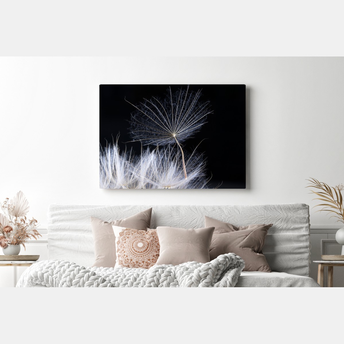 Obraz na płótnie delikatne ziarno mniszka na czarnym tle – Wallissimo® Obraz na płótnie delikatne ziarno mniszka na czarnym tle – Wallissimo®