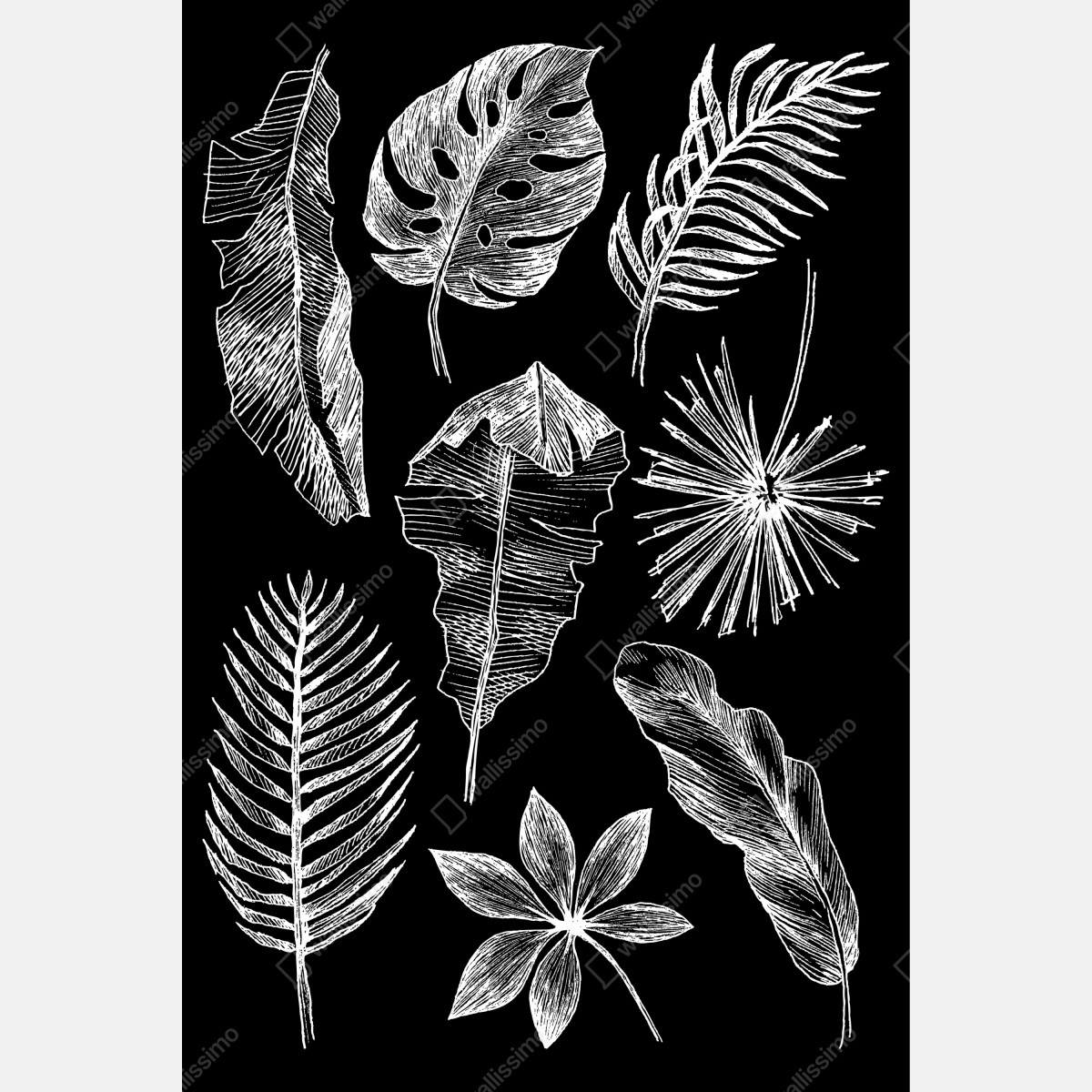 Obraz na płótnie monochromatyczna kompozycja liści – Wallissimo® Obraz na płótnie monochromatyczna kompozycja liści – Wallissimo®