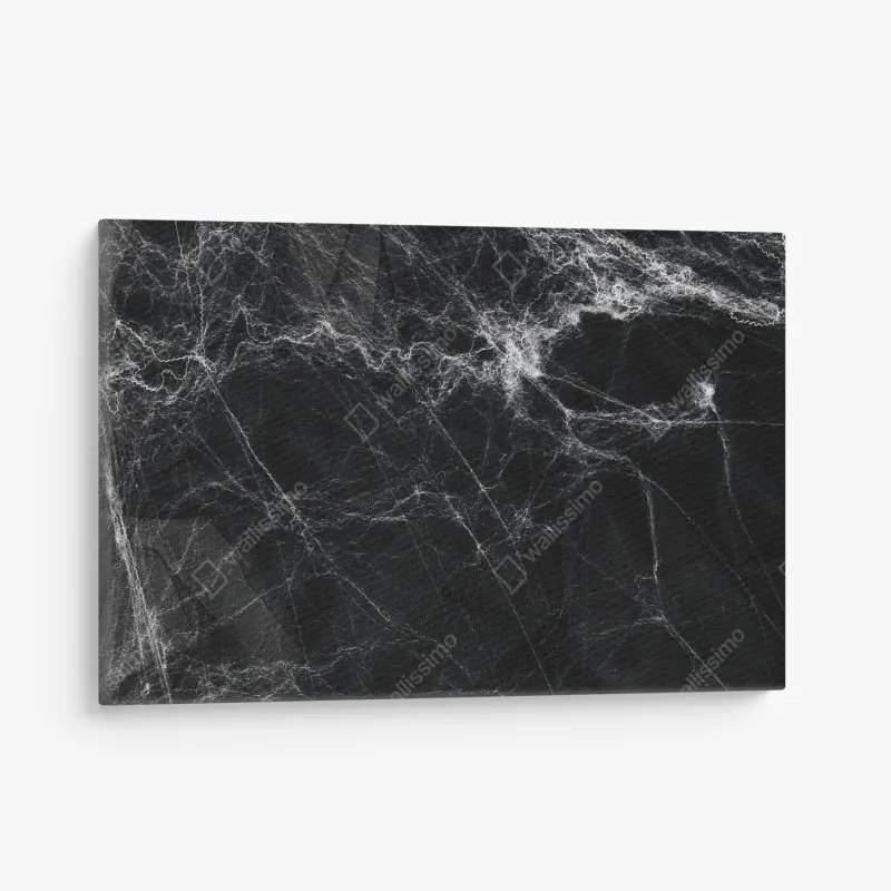 Obraz na płótnie mroczna pajęczyna na czarnym tle