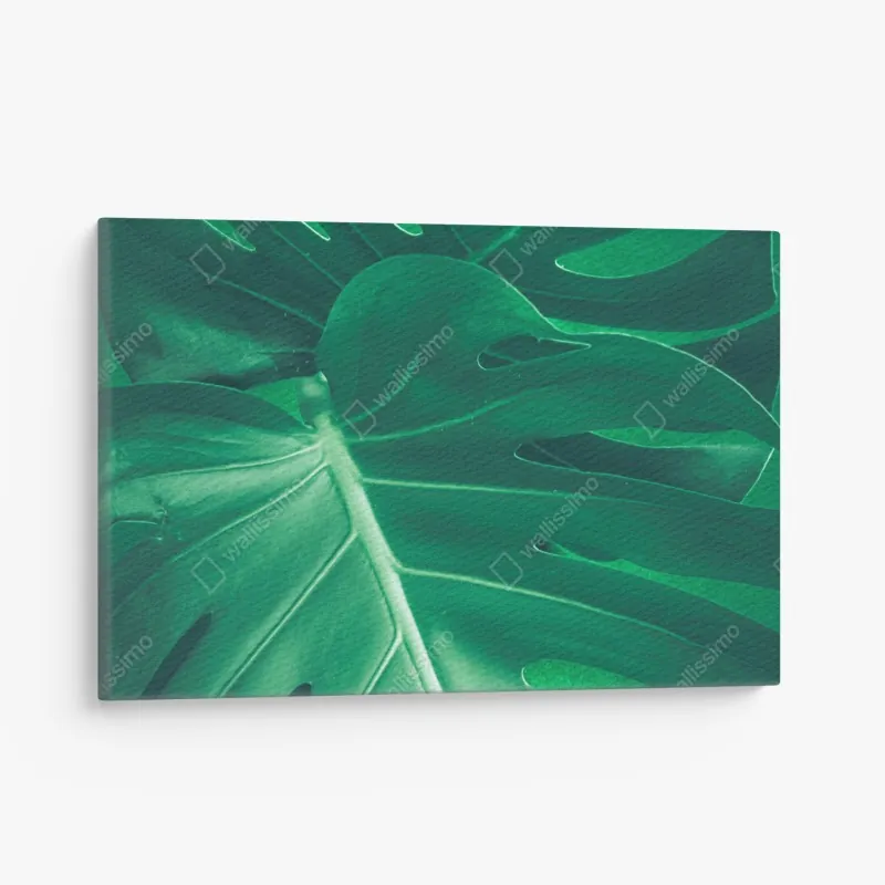 Obraz na płótnie intensywna heliconia na tropikalnych liściach – Wallissimo®