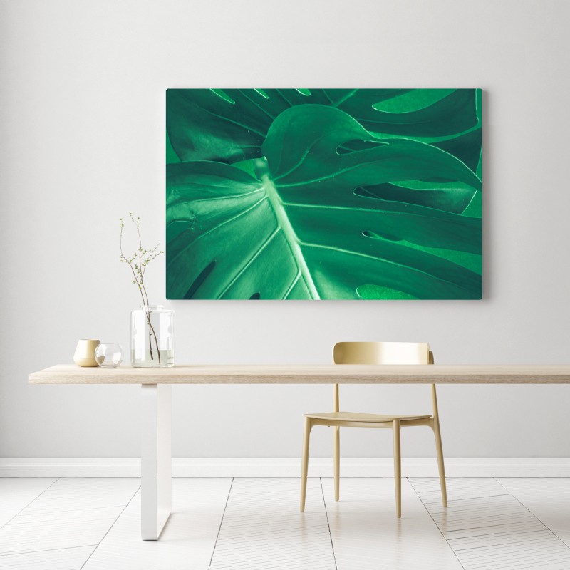 Obraz na płótnie bujny liść monstery zbliżenie – Wallissimo® Obraz na płótnie bujny liść monstery zbliżenie – Wallissimo®