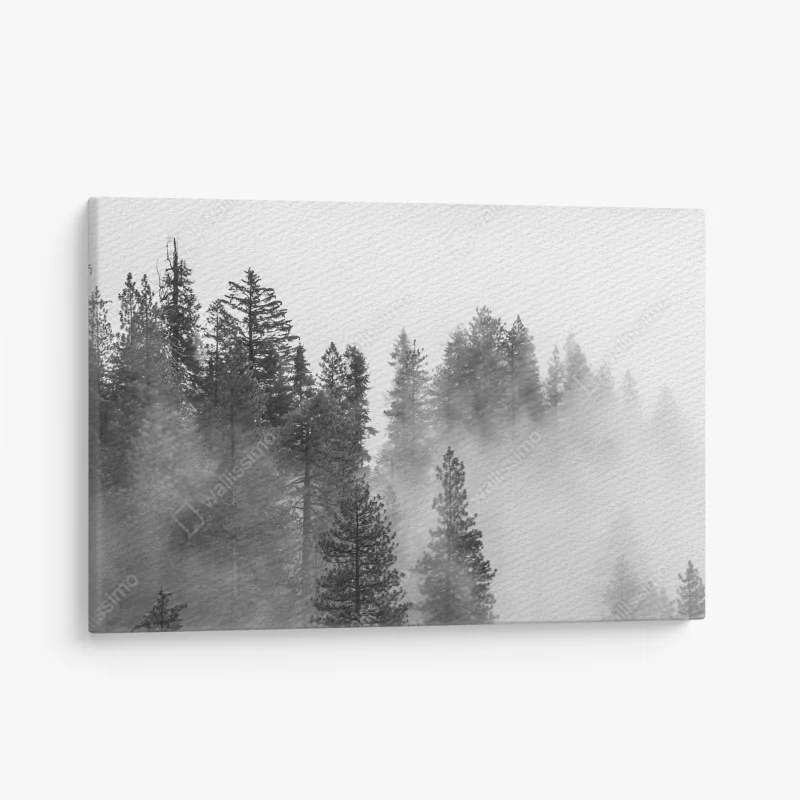 Obraz na płótnie mglisty las Giant Forest, Sequoia National Park