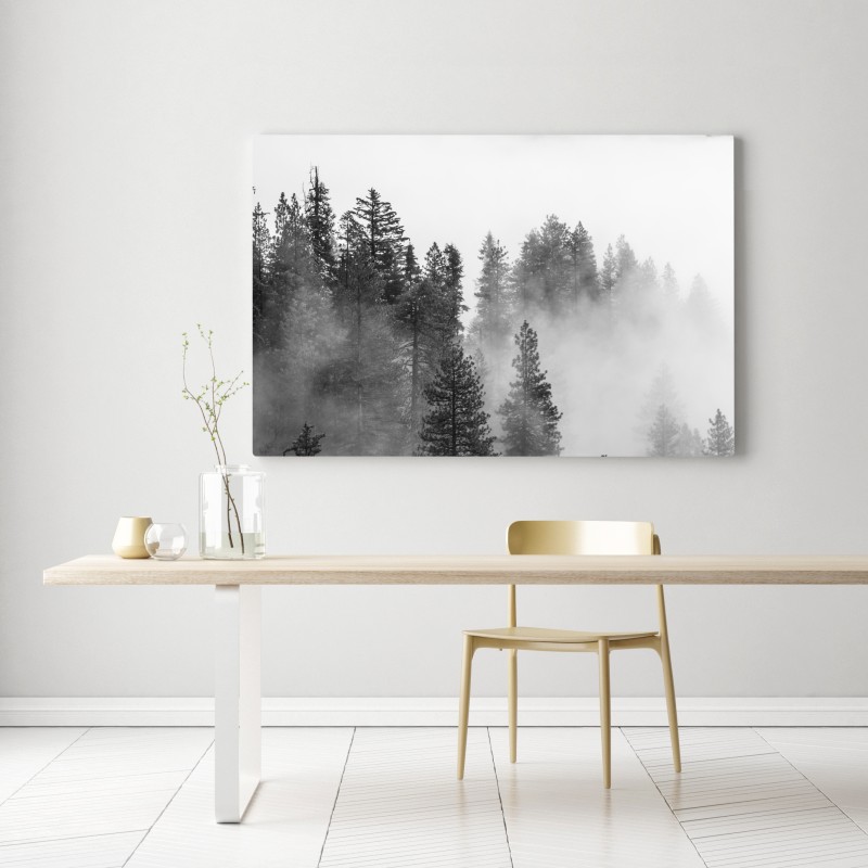 Obraz na płótnie mglisty las Giant Forest, Sequoia National Park – Wallissimo® Obraz na płótnie mglisty las Giant Forest, Sequoia National Park – Wallissimo®