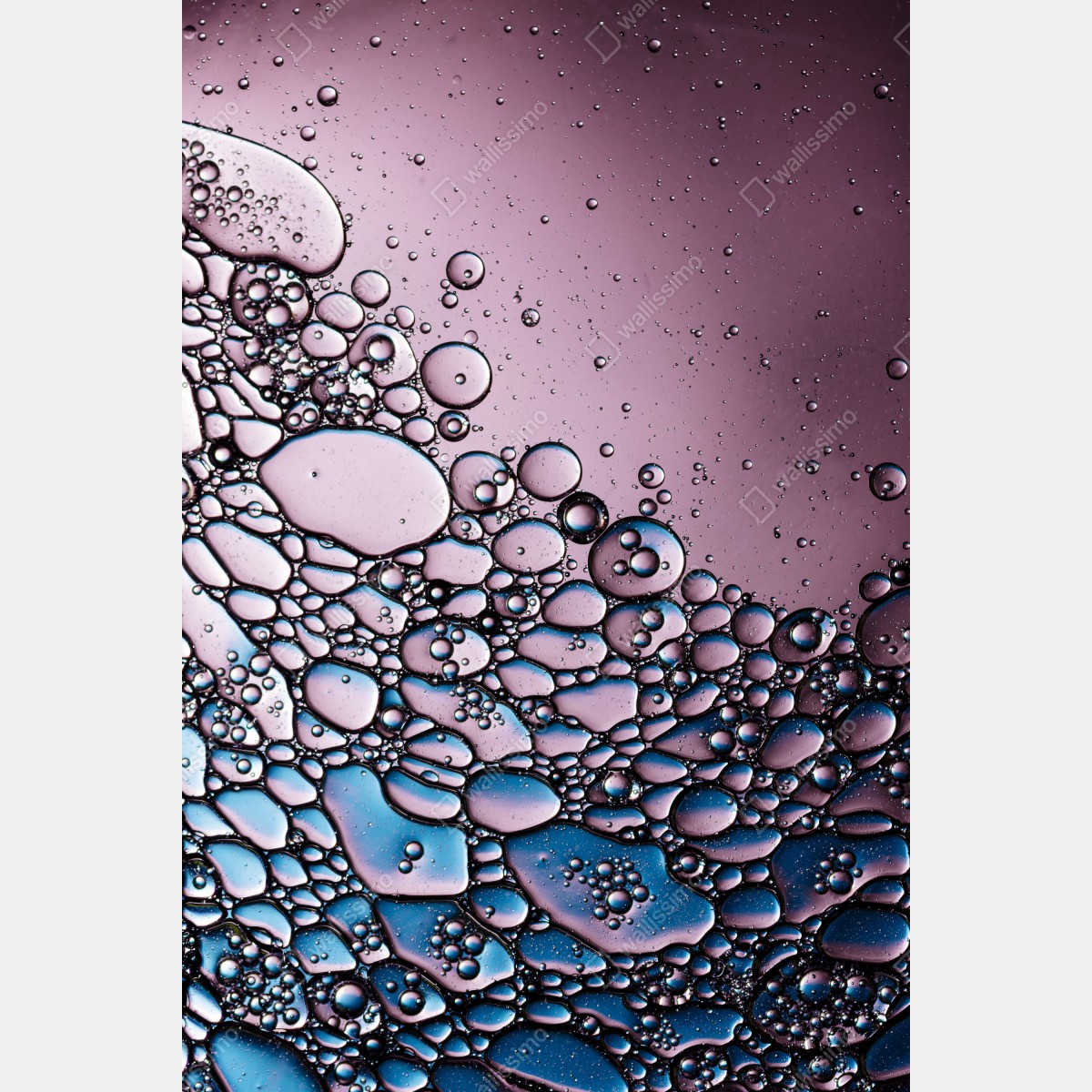 Obraz na płótnie fioletowy abstrakcyjny wzór z bąbelkami – Wallissimo® Obraz na płótnie fioletowy abstrakcyjny wzór z bąbelkami – Wallissimo®