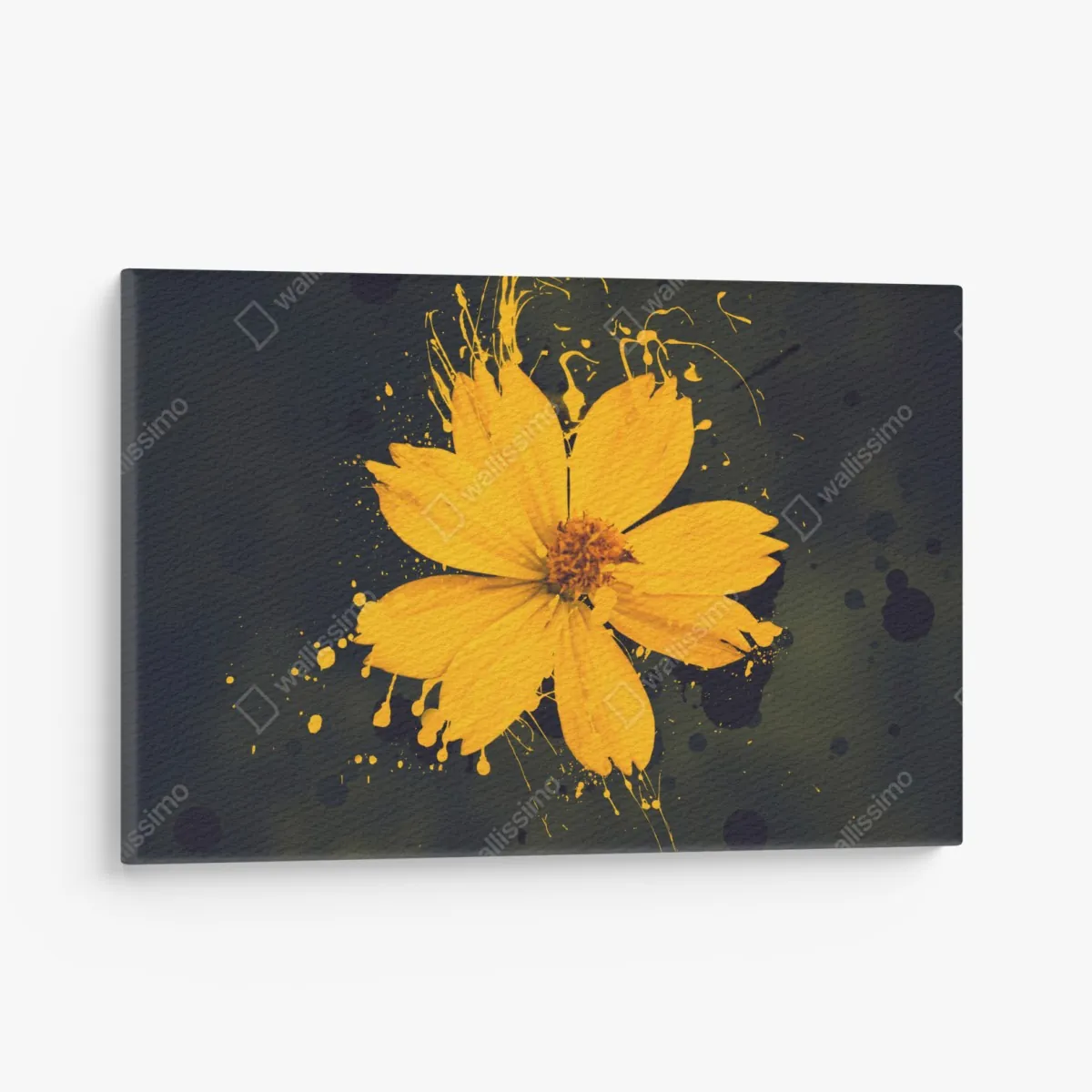 Obraz na płótnie intensywny żółty kwiat na ciemnym tle – Wallissimo® Obraz na płótnie intensywny żółty kwiat na ciemnym tle – Wallissimo®