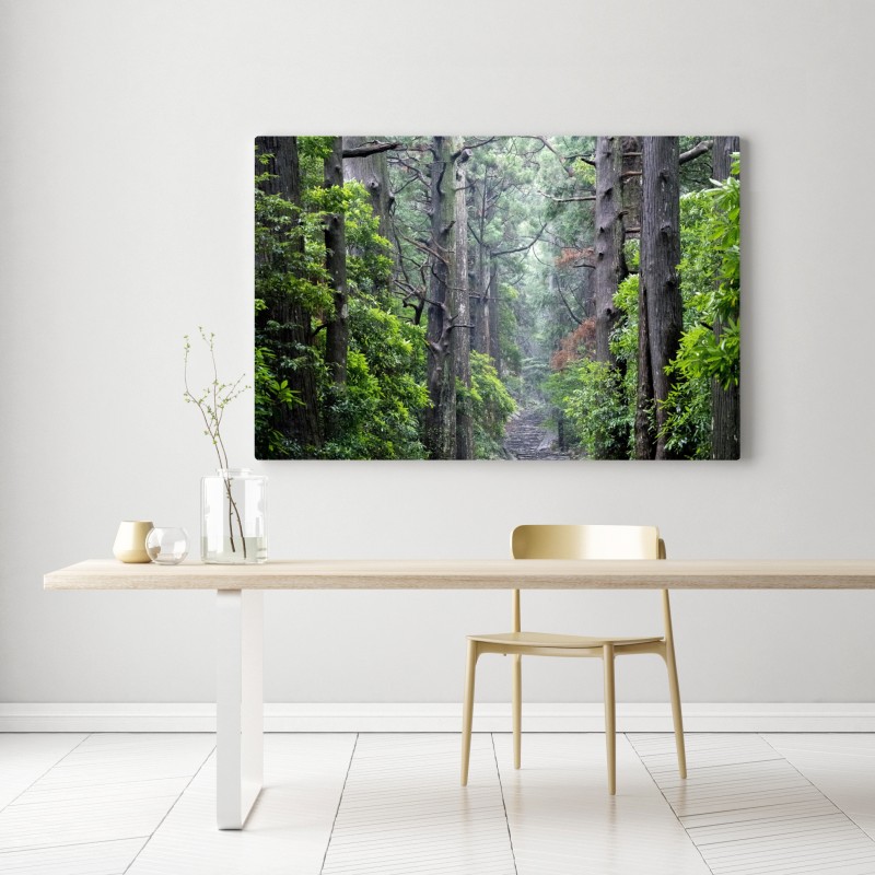 Obraz na płótnie mistyczna ścieżka leśna między starymi drzewami – Wallissimo® Obraz na płótnie mistyczna ścieżka leśna między starymi drzewami – Wallissimo®