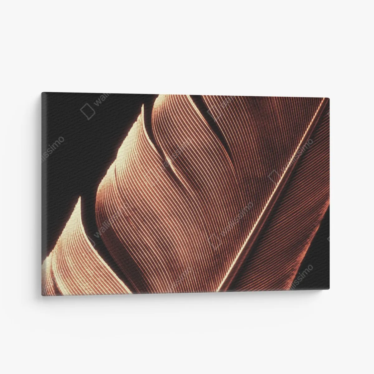 Obraz na płótnie złote pióro makro na czarnym tle – Wallissimo® Obraz na płótnie złote pióro makro na czarnym tle – Wallissimo®