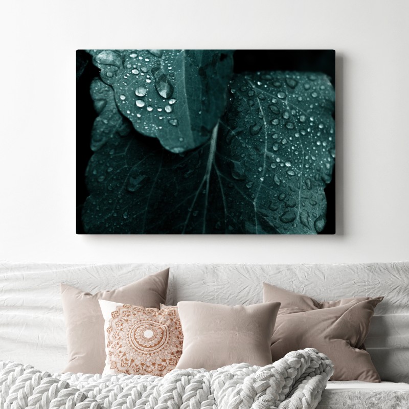 Obraz na płótnie krople rosy na liściach – Wallissimo® Obraz na płótnie krople rosy na liściach – Wallissimo®