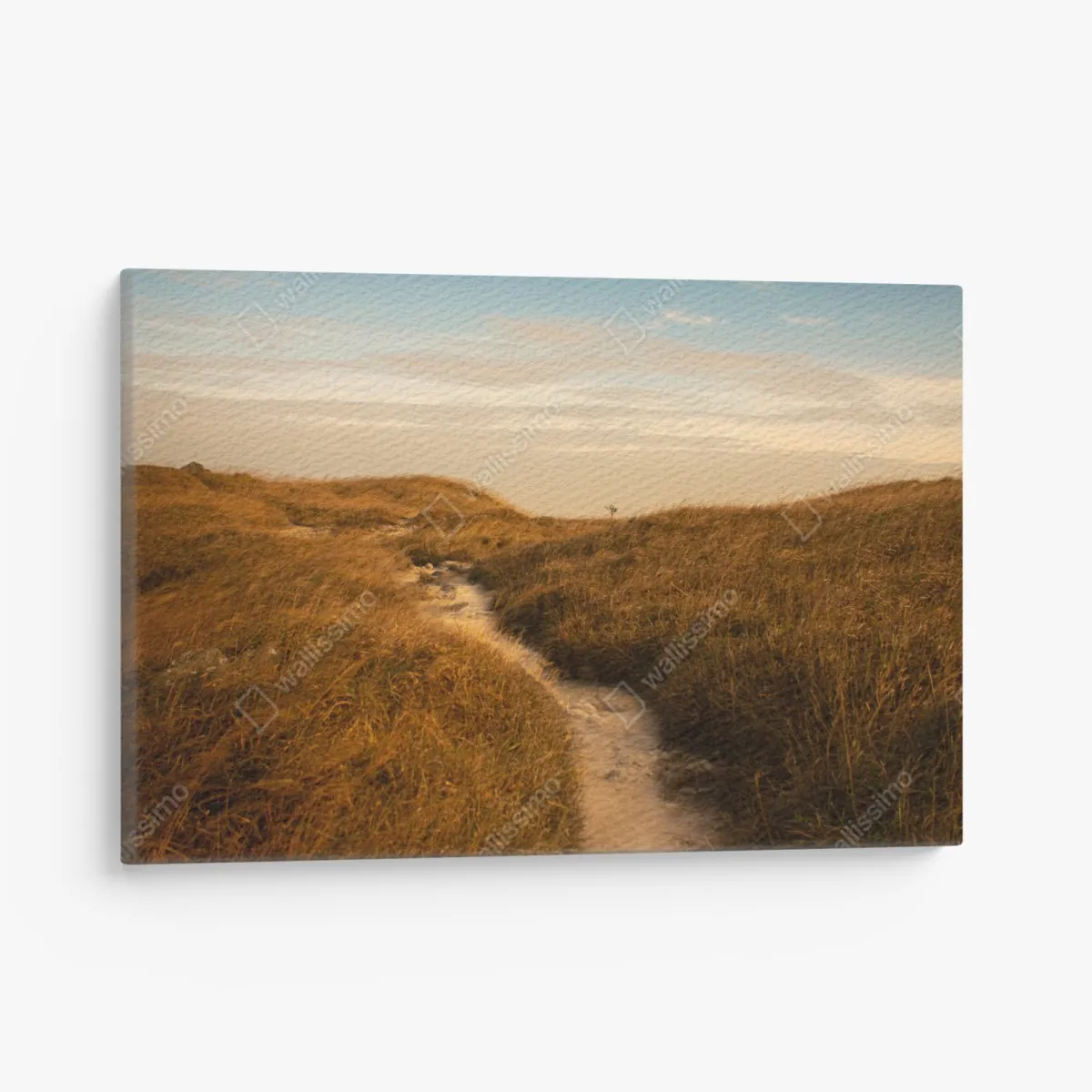 Obraz na płótnie słoneczna ścieżka przez wydmy – Wallissimo® Obraz na płótnie słoneczna ścieżka przez wydmy – Wallissimo®