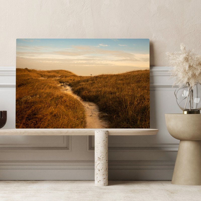 Obraz na płótnie słoneczna ścieżka przez wydmy – Wallissimo® Obraz na płótnie słoneczna ścieżka przez wydmy – Wallissimo®