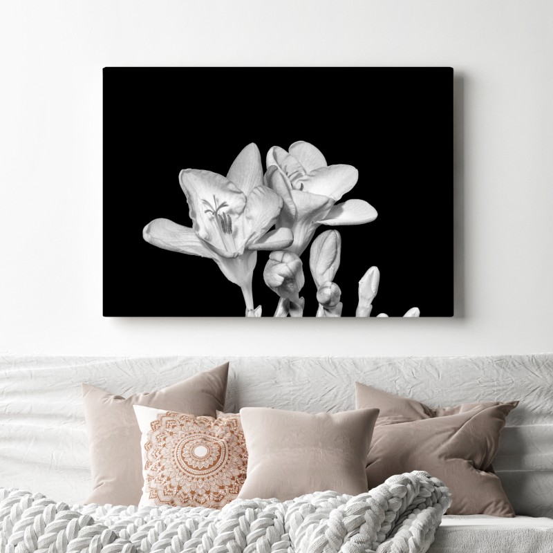 Obraz na płótnie delikatna frezja w monochromie – Wallissimo® Obraz na płótnie delikatna frezja w monochromie – Wallissimo®