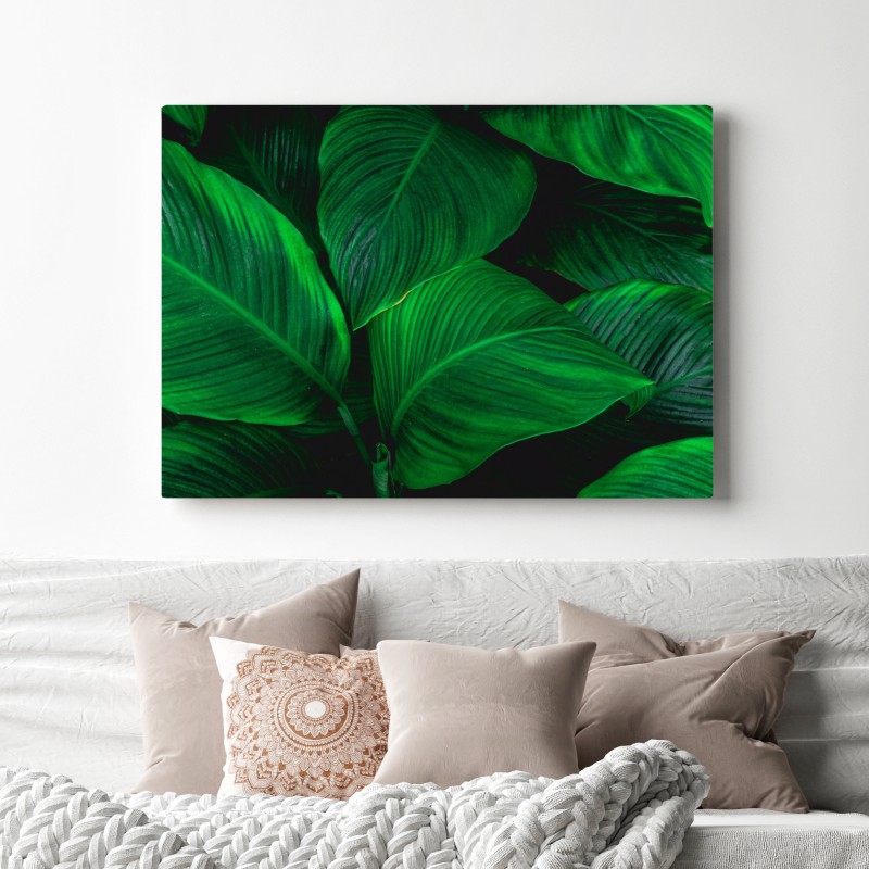 Obraz na płótnie bujne tropikalne liście – Wallissimo® Obraz na płótnie bujne tropikalne liście – Wallissimo®
