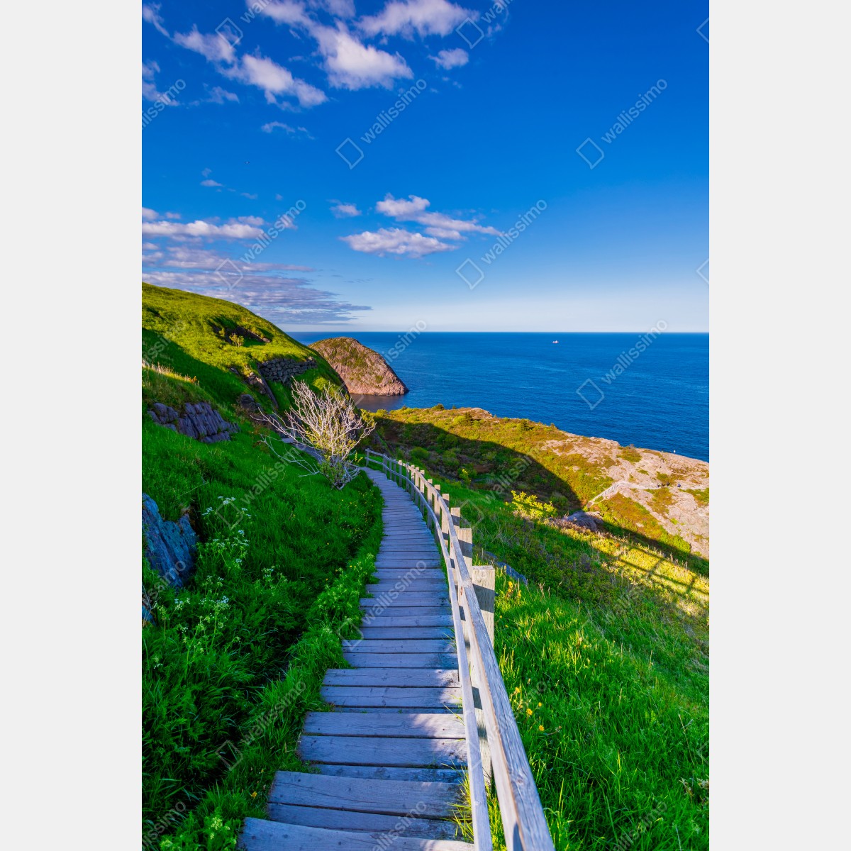 Obraz na płótnie nadmorska ścieżka z widokiem na morze – Wallissimo® Obraz na płótnie nadmorska ścieżka z widokiem na morze – Wallissimo®
