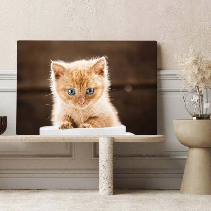 Obraz na płótnie rudy kociak w filiżance – Wallissimo® Obraz na płótnie rudy kociak w filiżance – Wallissimo®