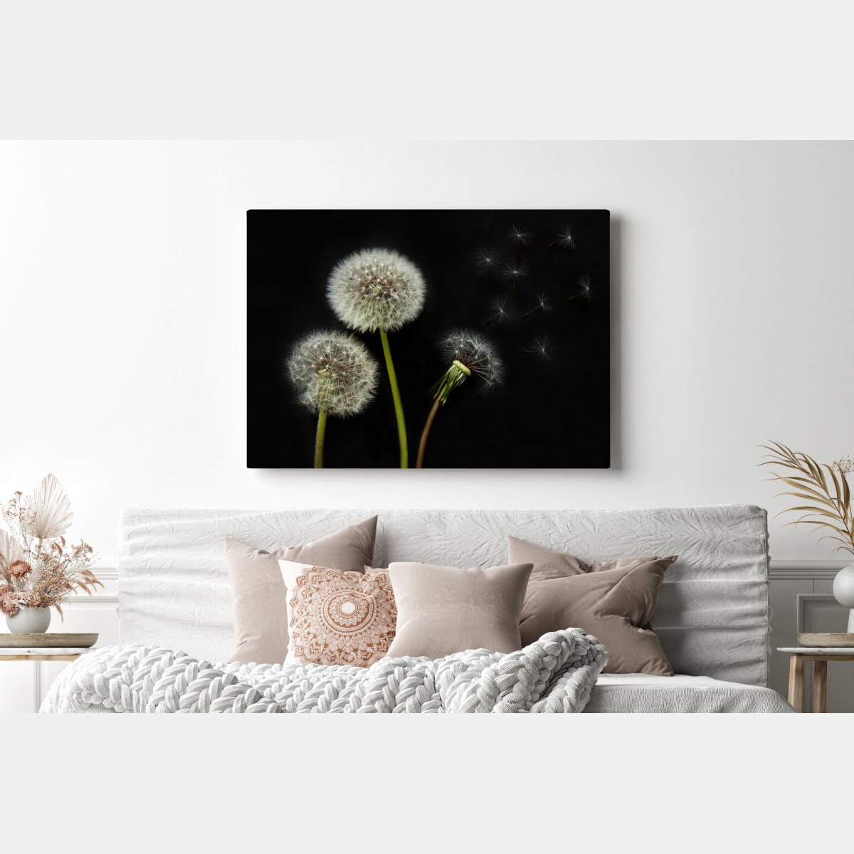 Obraz na płótnie delikatne główki mniszka na czarnym tle – Wallissimo® Obraz na płótnie delikatne główki mniszka na czarnym tle – Wallissimo®