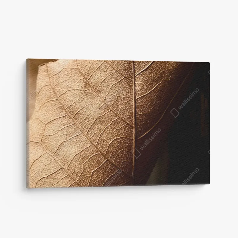 Obraz na płótnie tekstura suchego liścia w zbliżeniu