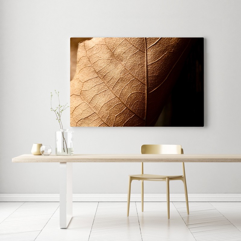 Obraz na płótnie tekstura suchego liścia w zbliżeniu