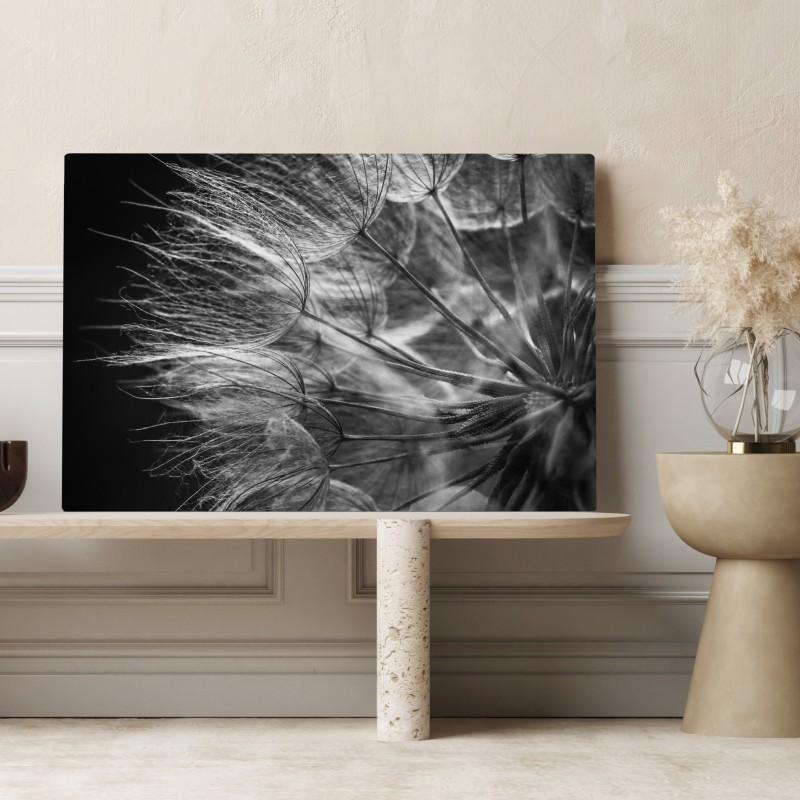 Obraz na płótnie delikatny puch dmuchawca w monochromie – Wallissimo® Obraz na płótnie delikatny puch dmuchawca w monochromie – Wallissimo®