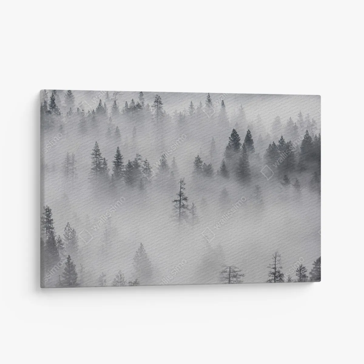 Obraz na płótnie mglisty las sosnowy – Wallissimo® Obraz na płótnie mglisty las sosnowy – Wallissimo®