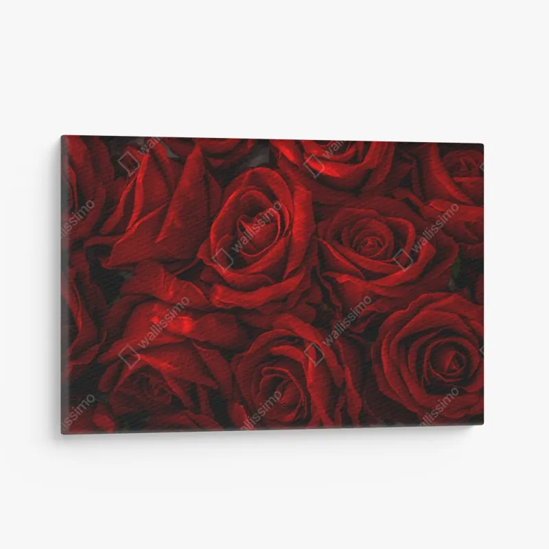 Obraz na płótnie intensywne czerwone róże z bliska