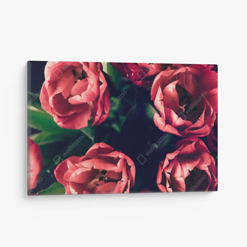 Obraz na płótnie nastrojowy różowy bukiet tulipanów