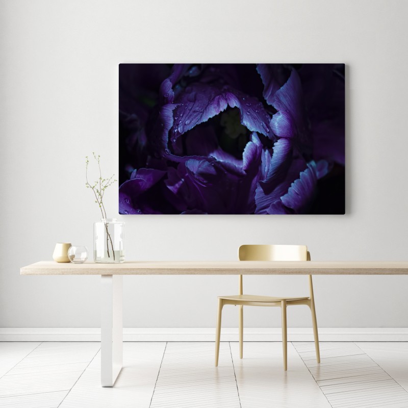 Obraz na płótnie fioletowy tulipan w ultrafiolecie