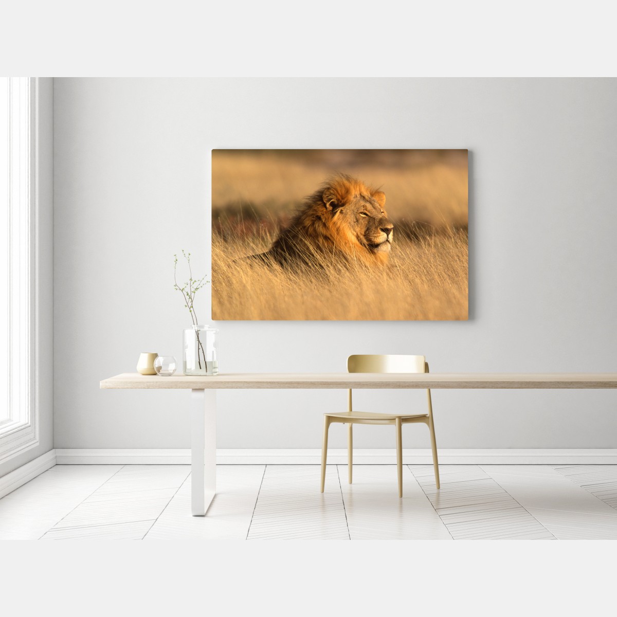 Obraz na płótnie majestatyczny lew w wysokiej trawie – Wallissimo® Obraz na płótnie majestatyczny lew w wysokiej trawie – Wallissimo®